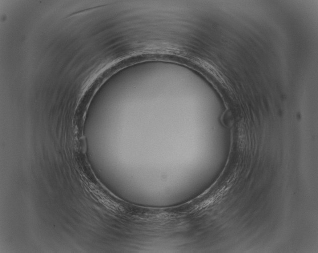 X0000062620926200601111030