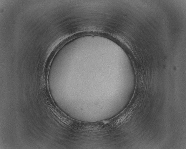 X0000062620927200601111030