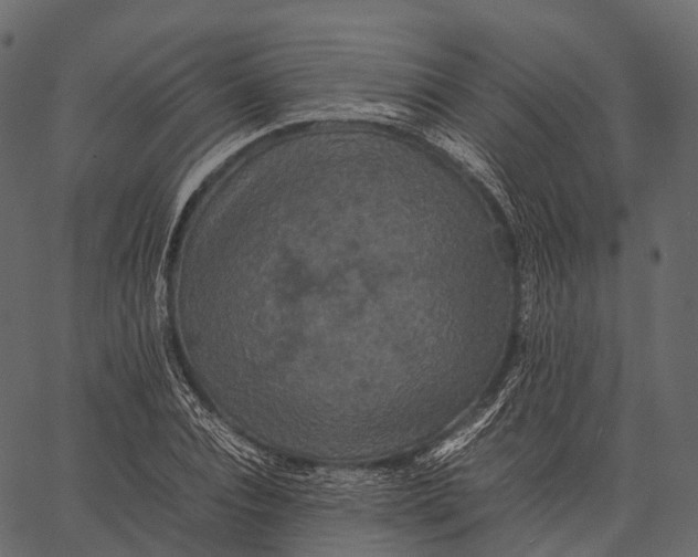 X0000062620928200601111030