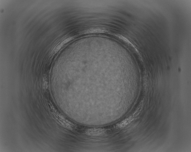 X0000062620929200601111030