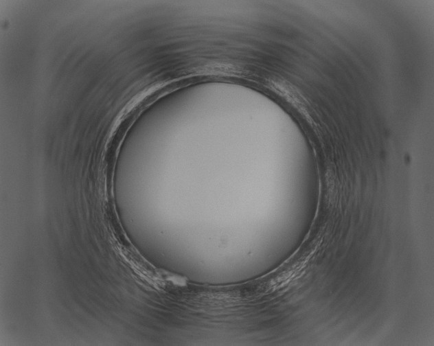 X0000062620931200601111030