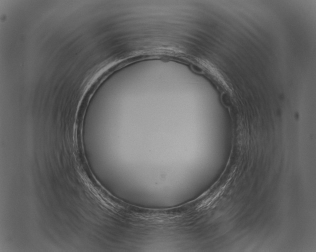 X0000062620932200601111030