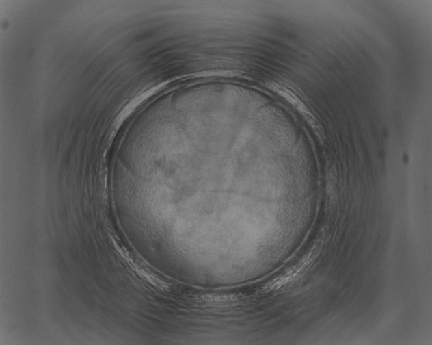 X0000062620933200601111030