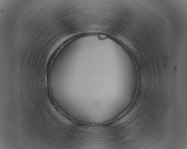 X0000062620934200601111030