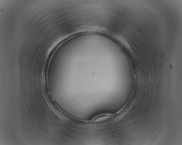 X0000062620936200601111030