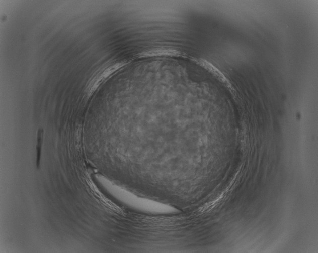 X0000062620937200601111030