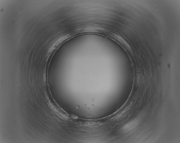 X0000062620938200601111030