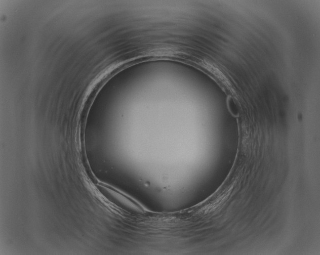 X0000062620939200601111030