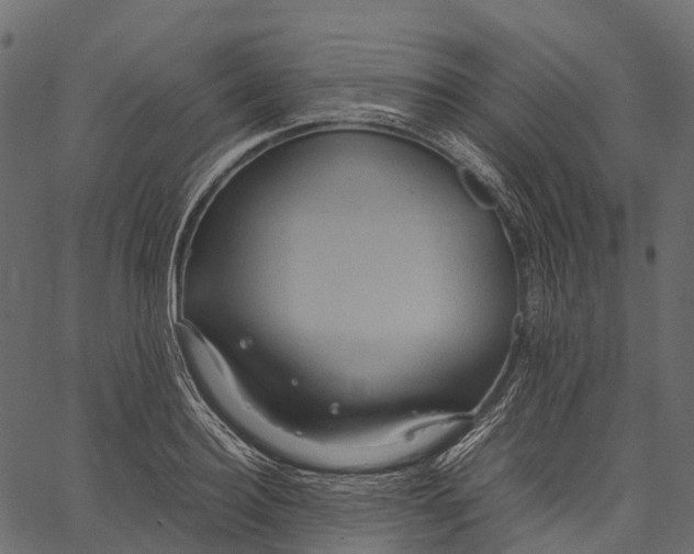 X0000062620940200601111030