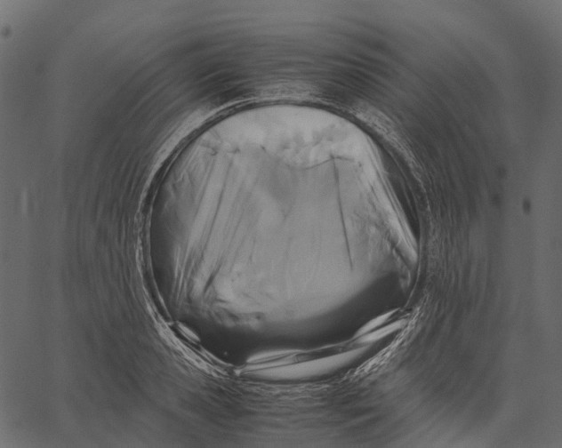 X0000062620941200601111030