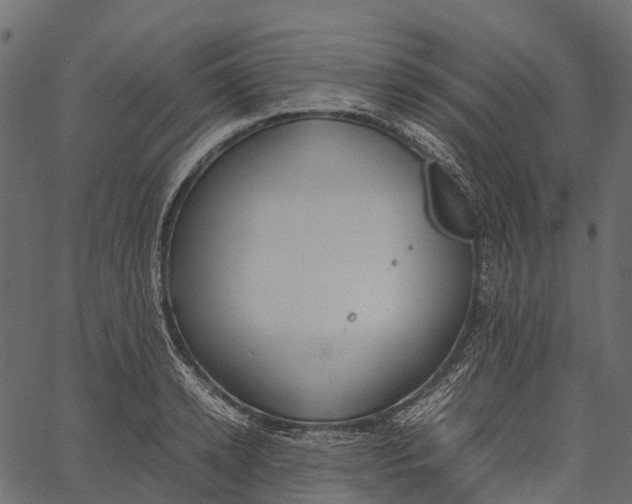 X0000062620942200601111030