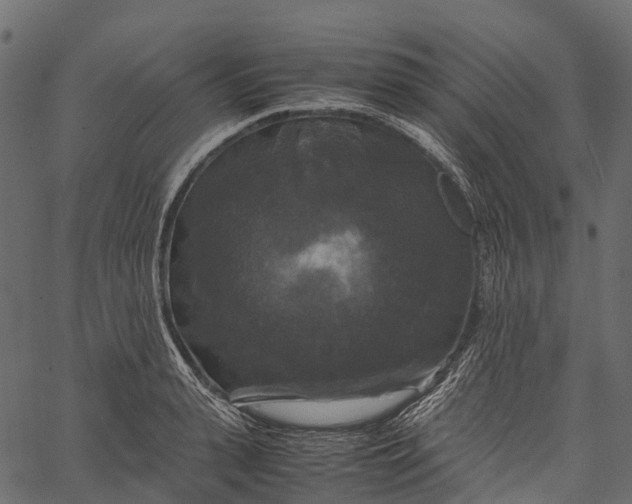 X0000062620943200601111030