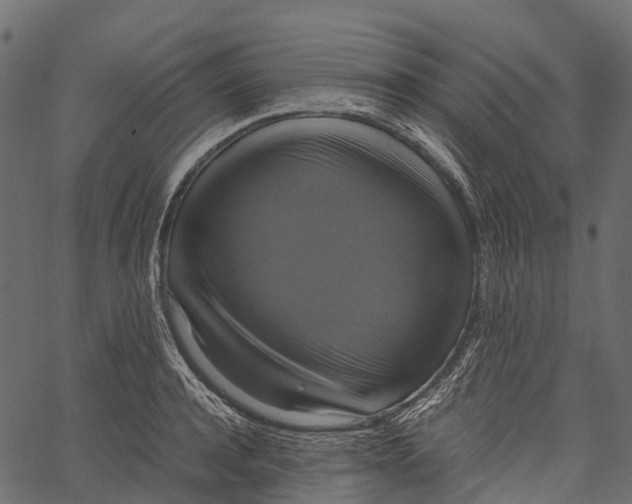 X0000062620944200601111030