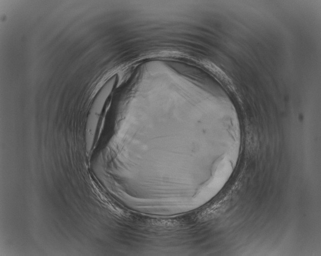 X0000062620945200601111030