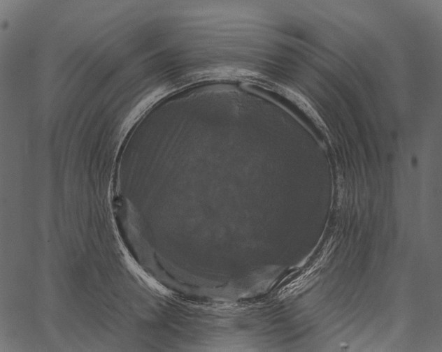 X0000062620946200601111030