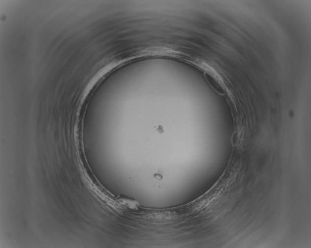 X0000062620947200601111031