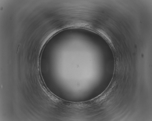 X0000062620948200601111031