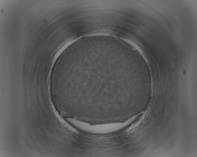 X0000062620949200601111031