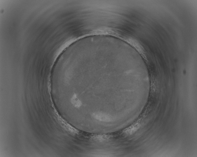 X0000062620950200601111031