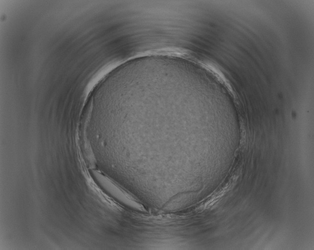 X0000062620952200601111031