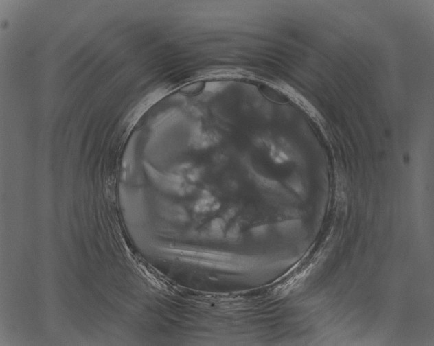 X0000062620953200601111031