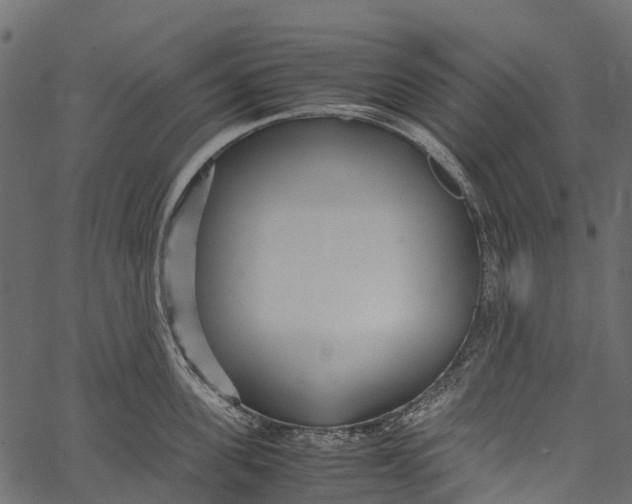 X0000062620955200601111031