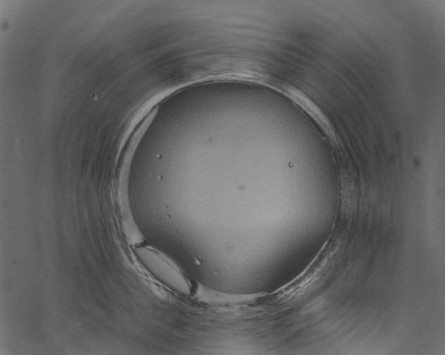 X0000062620956200601111031