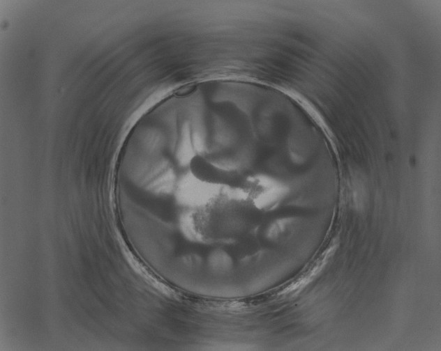 X0000062620957200601111031