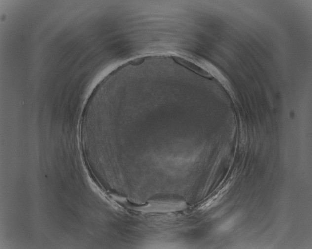 X0000062620958200601111031