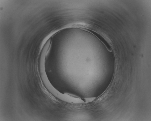 X0000062620960200601111031