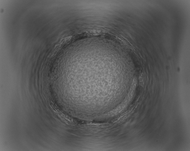 X0000062620961200601111030