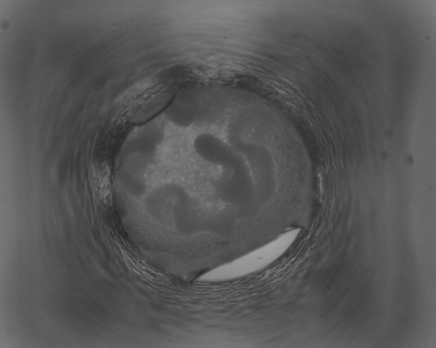 X0000062620963200601111030