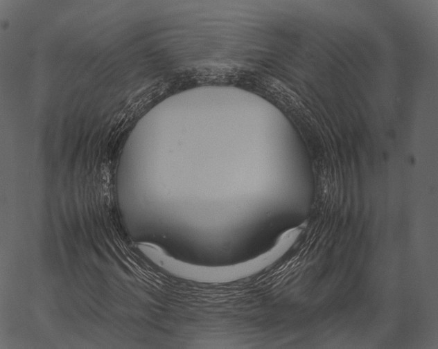 X0000062620964200601111030