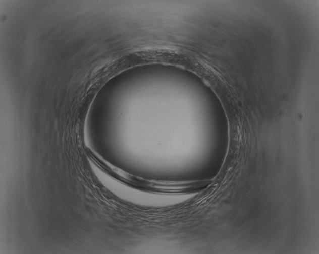 X0000062620965200601111030