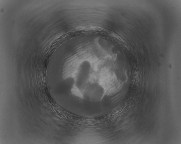 X0000062620966200601111030