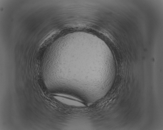 X0000062620967200601111030