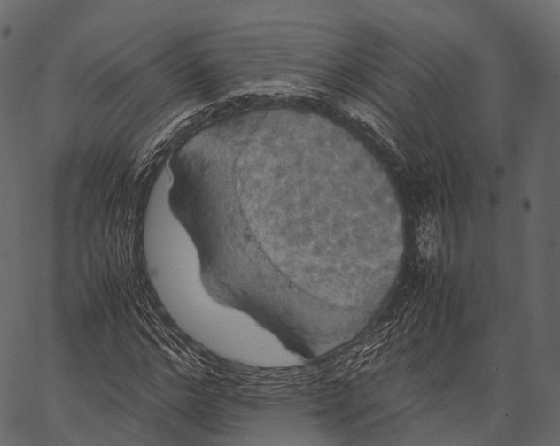 X0000062620968200601111030