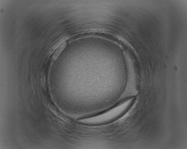 X0000062620969200601111030