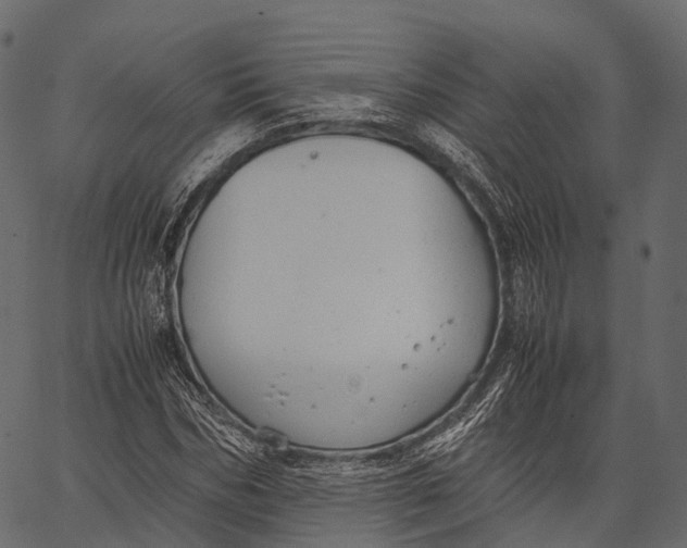 X0000062620970200601111030