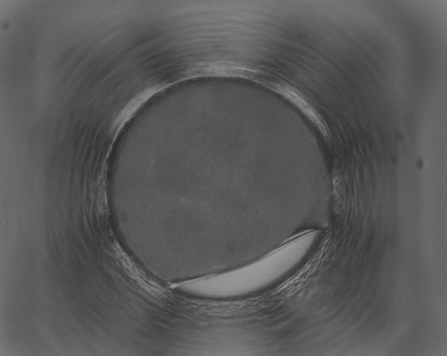 X0000062620972200601111030