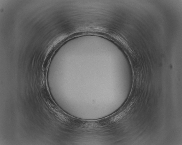 X0000062620974200601111030