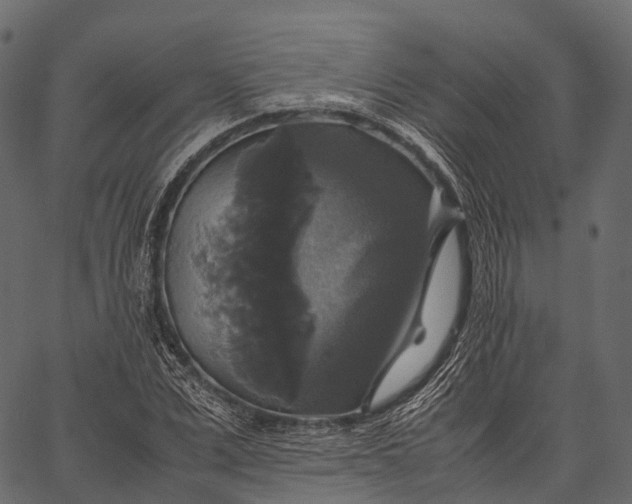 X0000062620975200601111030