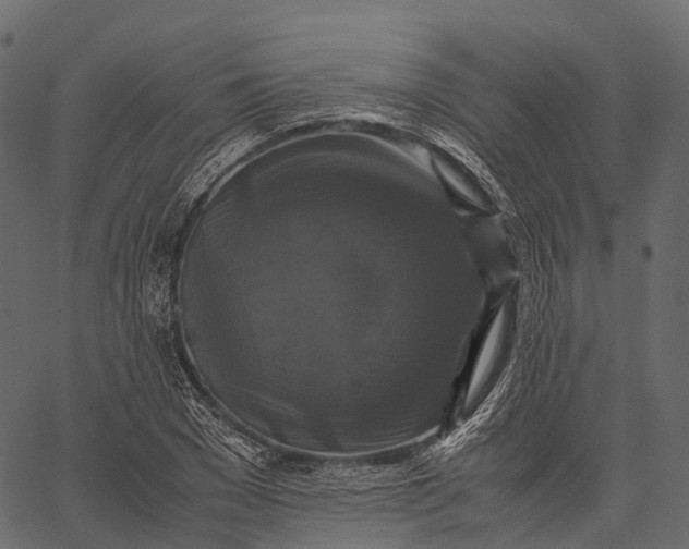 X0000062620977200601111030