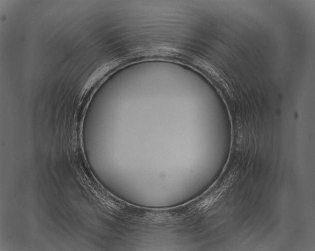 X0000062620978200601111030