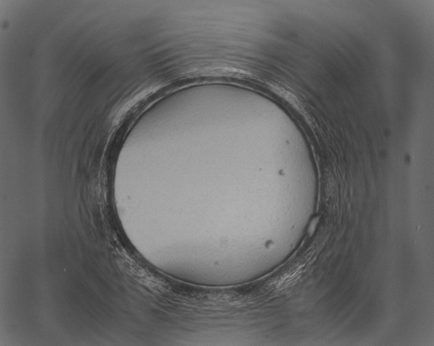 X0000062620979200601111030