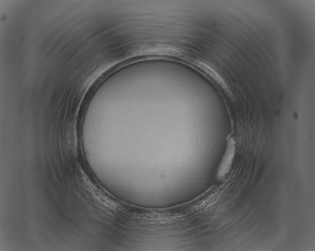 X0000062620980200601111030