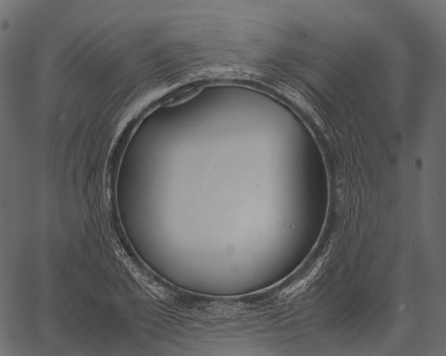 X0000062620981200601111030