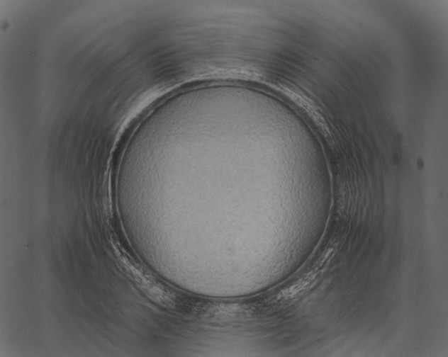 X0000062620982200601111030