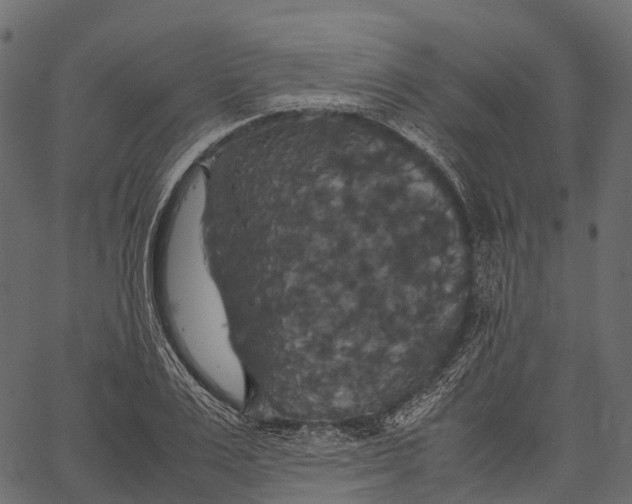 X0000062620983200601111030