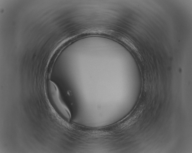 X0000062620984200601111030